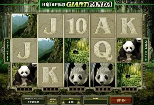 Игровые автоматы с выводом денег — Untamed Giant Panda Игровые автоматы с выводом денег — Untamed Giant Panda